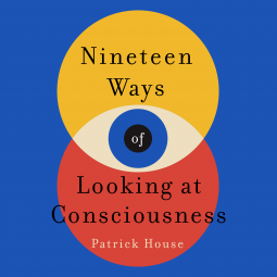 book cover for Nineteen Ways of Looking at Consciousness