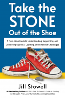 book cover for Take the Stone Out of the Shoe