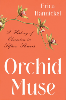book cover for Orchid Muse