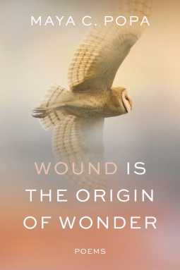 book cover for Wound Is the Origin of Wonder