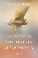 book cover for Wound Is the Origin of Wonder