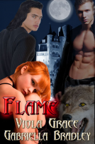 book cover for Flame