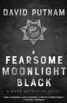 book cover for A Fearsome Moonlight Black