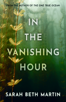 book cover for In the Vanishing Hour