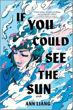 book cover for If You Could See the Sun