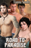 book cover for Road to Paradise