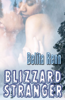 book cover for Blizzard Stranger