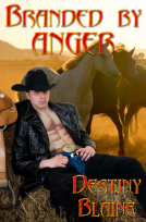book cover for Branded by Anger