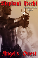 book cover for Angel's Quest