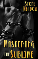 book cover for Mastering the Sublime