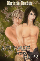 book cover for A Summer Without Rain