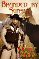 book cover for Branded by Sunset