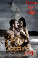 book cover for The Protector's Jewel