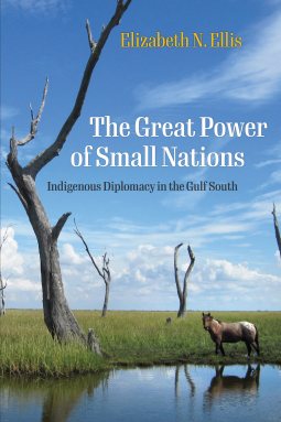 book cover for The Great Power of Small Nations