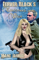 book cover for Ferver's Christmas Wish