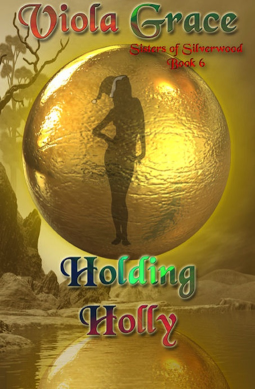 book cover for Holding Holly
