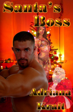 book cover for Santa's Boss