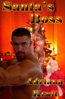 book cover for Santa's Boss