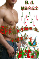 book cover for Christmas Tail