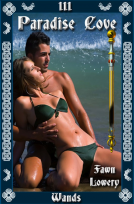 book cover for Paradise Cove
