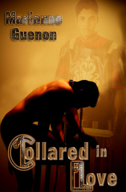 book cover for Collared in Love