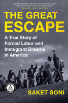book cover for The Great Escape