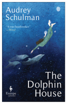 book cover for The Dolphin House
