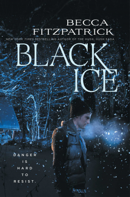 book cover for Black Ice