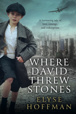 book cover for Where David Threw Stones