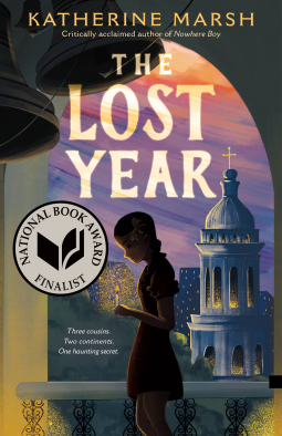 book cover for The Lost Year