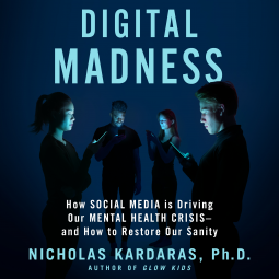 book cover for Digital Madness