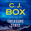 book cover for Treasure State