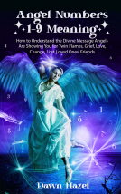 book cover for Angel Numbers 1-9 Meaning