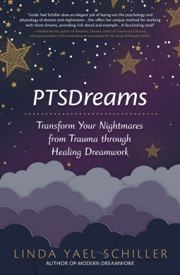 book cover for PTSDreams