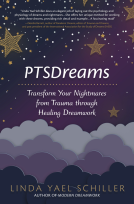 book cover for PTSDreams