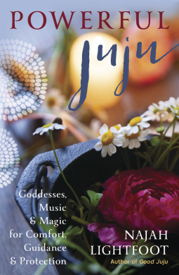 book cover for Powerful Juju