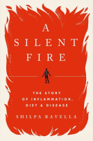 book cover for A Silent Fire
