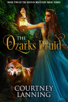 book cover for The Ozarks Druid