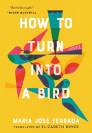 book cover for How to Turn Into a Bird
