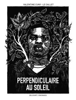 Couverture du livre pour Perpendiculaire au soleil