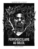 Couverture du livre pour Perpendiculaire au soleil