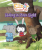 Cover Image: Elinor Wonders Why: Hiding in Plain Sight