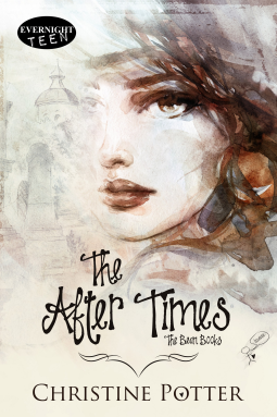 book cover for The After Times