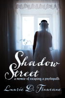 book cover for Shadow Street