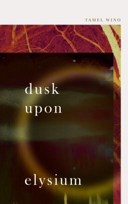 book cover for Dusk Upon Elysium