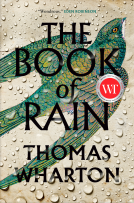 book cover for The Book of Rain