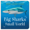 Cover Image: Big Sharks, Small World