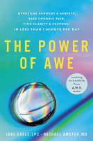 book cover for The Power of Awe