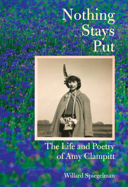 book cover for Nothing Stays Put