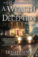 book cover for A Wealth of Deception